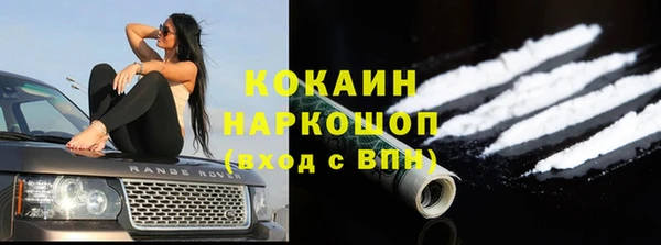 дживик Верея