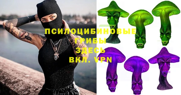 дурь Бородино