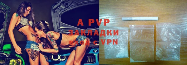 дурь Бородино